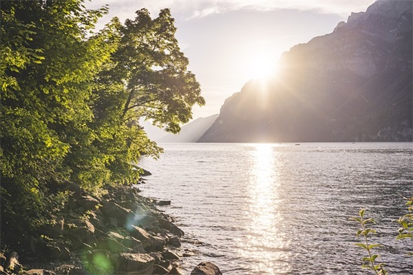 泡打粉是什么东西？