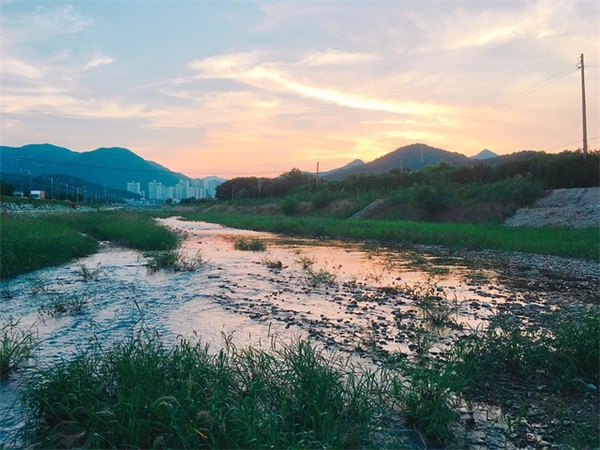 什么是小聪明，什么是真聪明？