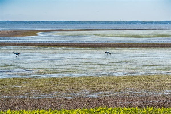 什么小说最受欢迎?