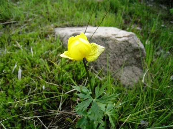 海尔空调KFR32GW/Z2现在什么报价