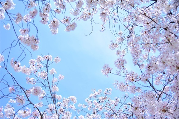 高速公路路肩的主要作用有什么？