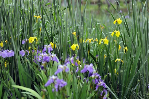 20万左右买什么车比较好？