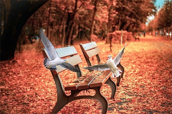 江西红绿灯违章查询1301是什么意思 是那的地？