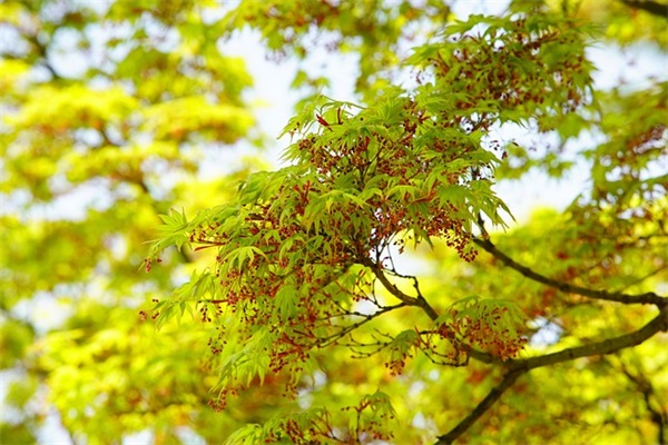 1602液晶是什么？