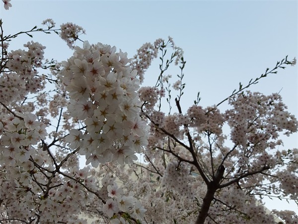 屏蔽线有什么作用？