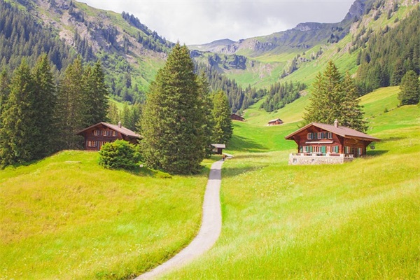 决心玩把大的，乌军现任防长被换下，布达诺夫会带来什么转变？