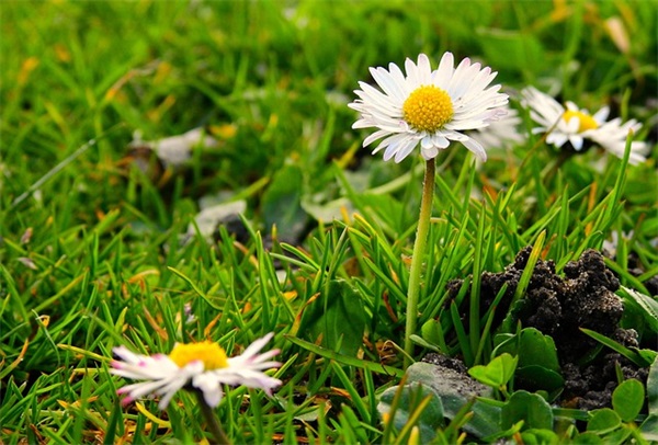 到底一位候补是什么意思？