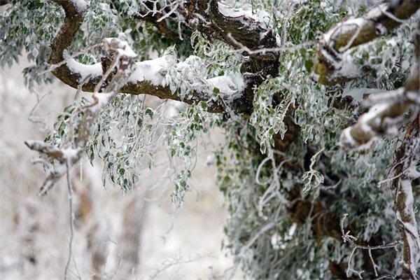 面积最大的火车站喊什么？