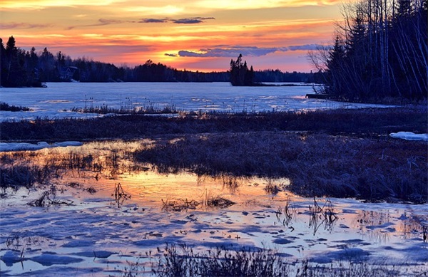 可乐加薄荷糖有什么反应啊