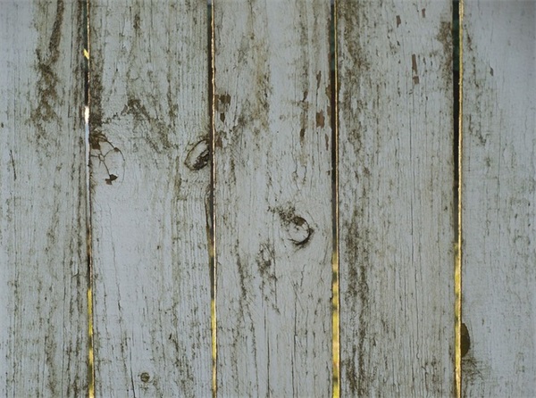 世界上什么名车最？