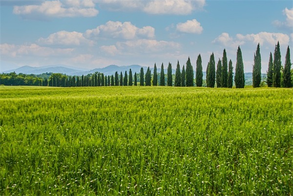 这是什么车？车里除了仪表盘外还有五个小仪表盘？