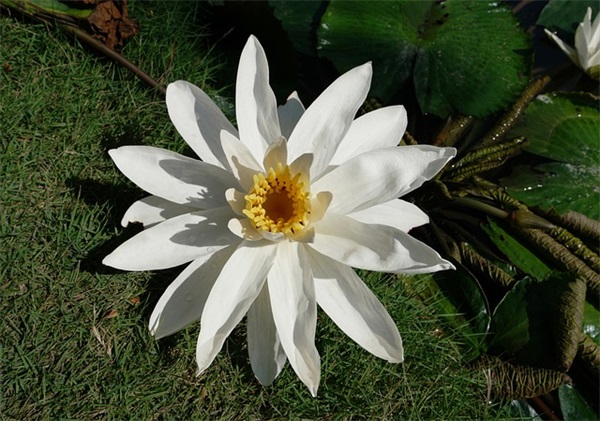 CAD分解命令是什么？有什么用?