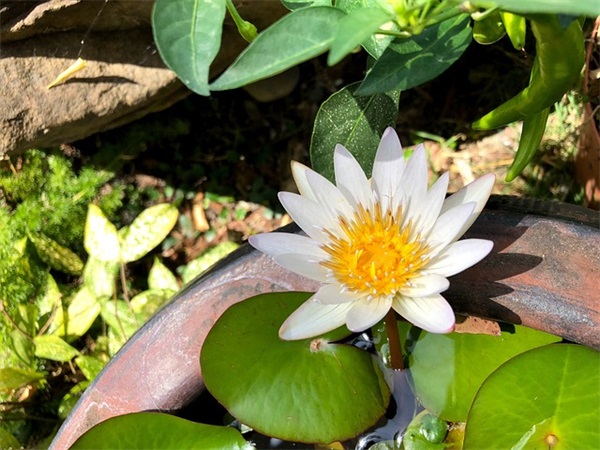 建行车贷需要什么资料呢？