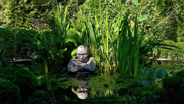 这是什么问题？