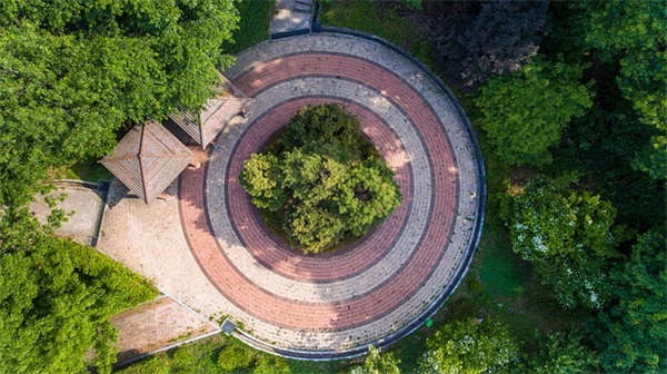 概念车是干什么的？