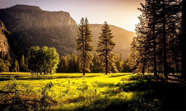 什么是气导？什么是骨导？