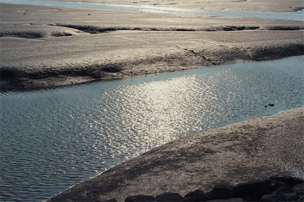 白水煮牛肉放什么调料