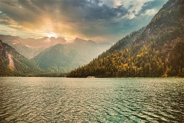 面粉做什么最赚钱