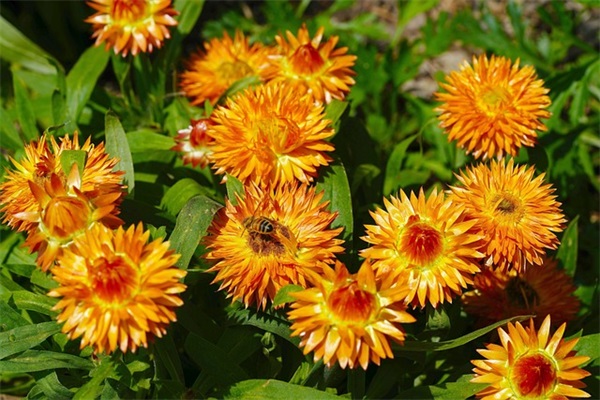 在综合店与4S店买车 有什么不同？为什么综合店比4S店的价低