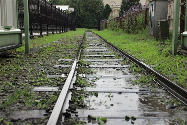 茶叶蛋的茶叶用什么茶