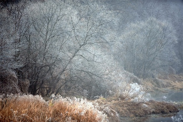 全国各省车牌上第一个字母是代表什么意思？