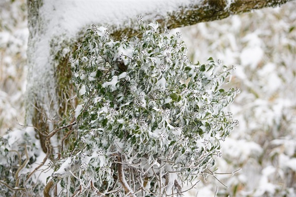 k244次列车什么时候恢复正常