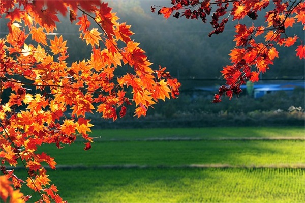 汽车4s店是什么意思