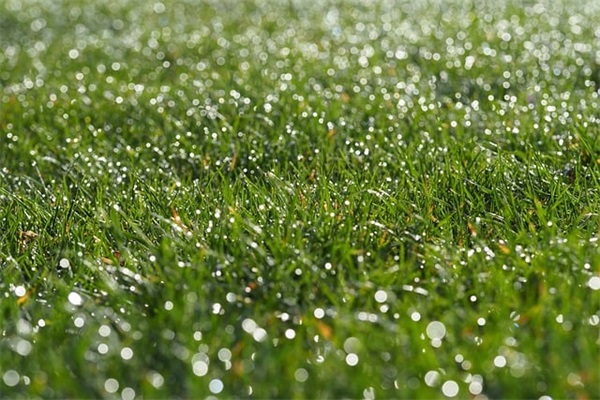 酒泉是指什么？