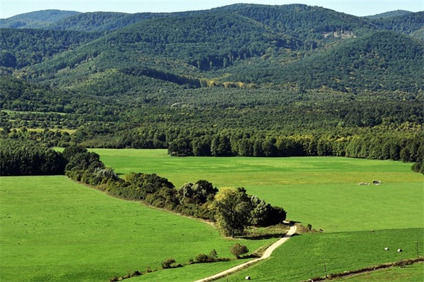 火车票退票手续费有什么规？