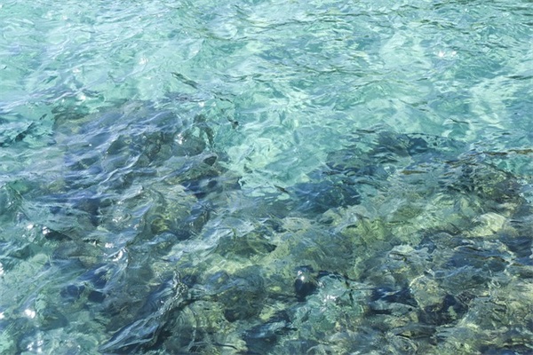 惊蛰吃什么传统食物啊？