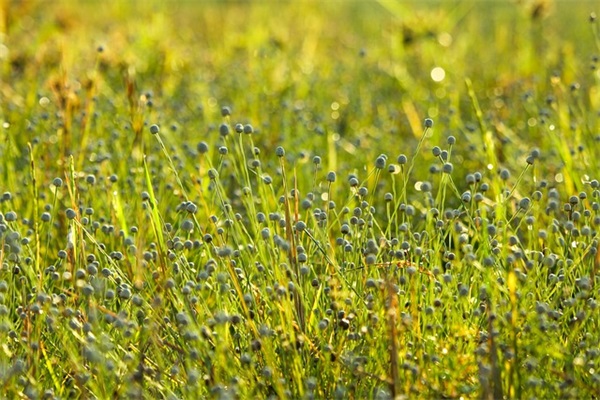 空调上的eco是什么意思？