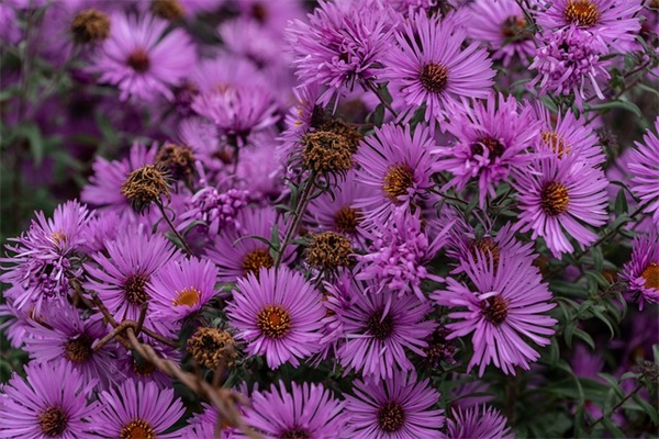 北京奥迪价Q5格怎么那么低?有没有什么问题