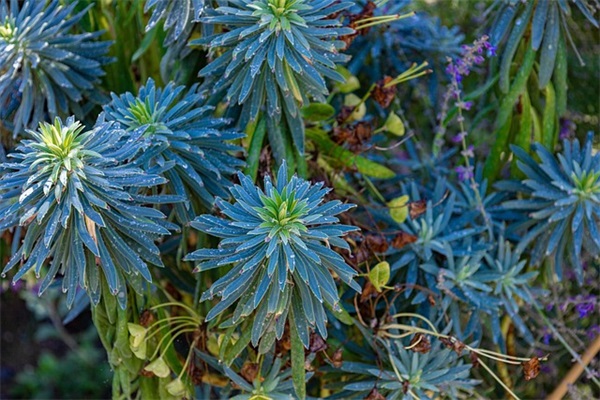 请问 我这电脑配置 能配么？哪里需要改良？没什么需求 只是上网看视频谈天