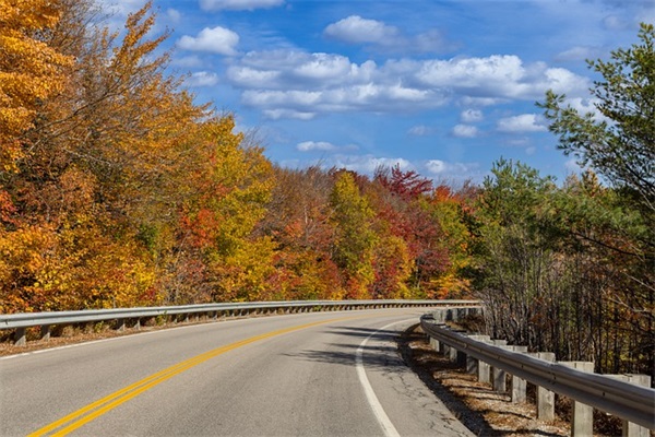 92油价什么掉价
