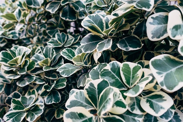 个人汽车贷款产品有什么优势呢？