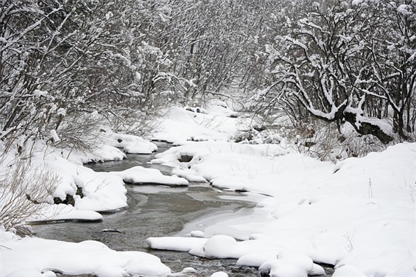 世界上速度最快的摩托车是什么？