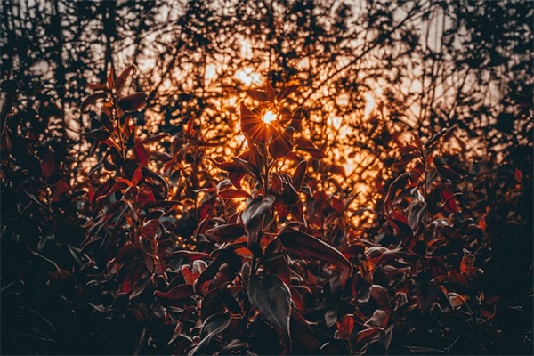 现在什么样的女装品牌最受欢迎？