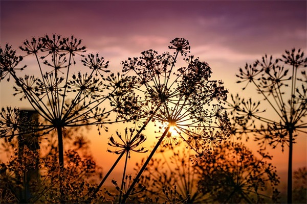 柴油机排气管冒白烟的原因是什么？