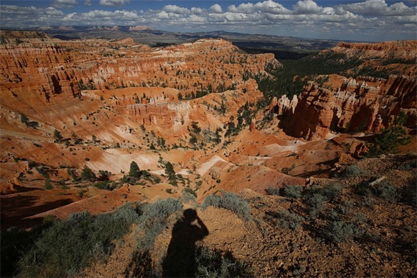 黑洞视界和白洞视界有什么区别？