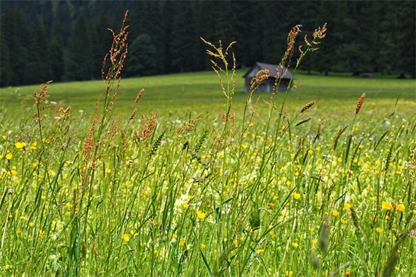 西安 想买台北斗星e ,应该注重什么