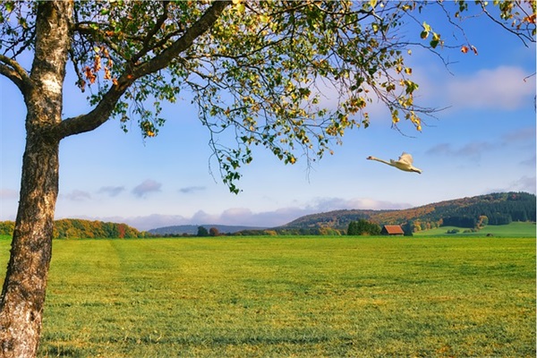 新款马自达5空间特征是什么