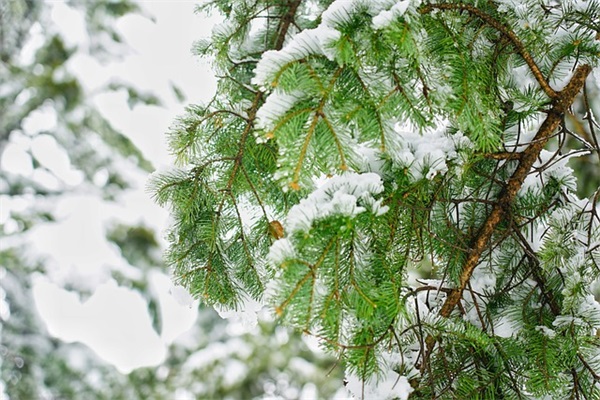 乘动车到“武汉站”下，那里的地址喊什么？周边的公交情状谁知道？求教！