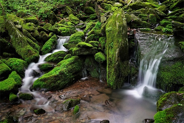 93号汽油与97号汽油有什么不同？？？？？？？？？？