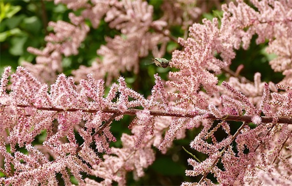 什么品牌的汽车轮胎好