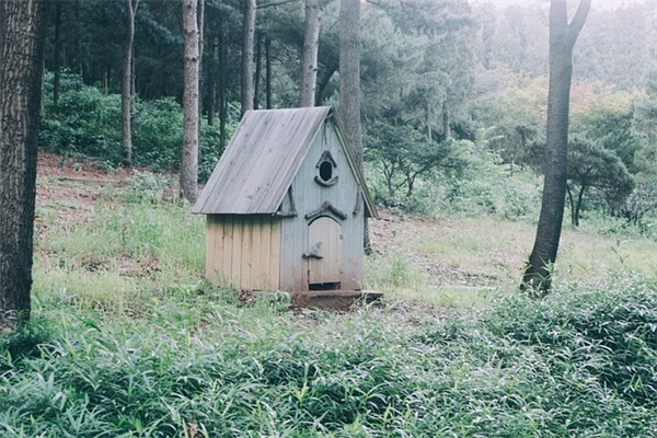 27岁 买什么车好。20万左右。轿车 还是suv