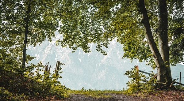 清江三鲜面里面会放些什么的食材？