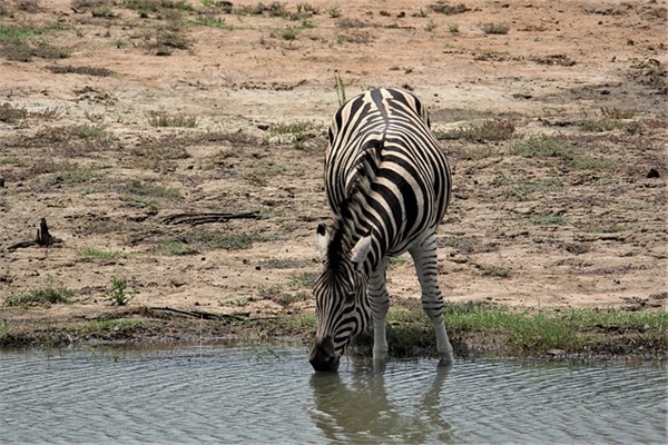 雨水吃什么传统食物