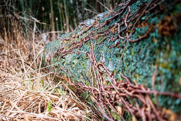 请问春秋航空对于滑雪板的托运有什么具体的要求还有收费计算？
