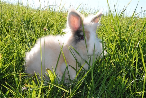 汽车4S店 在4s店上班无聊的时候能干点什么？