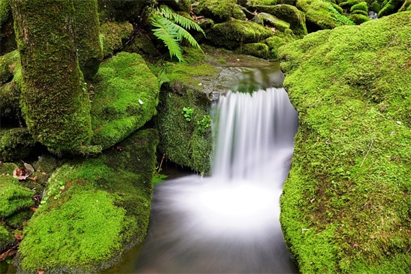 美国进口的都有什么好奶粉？